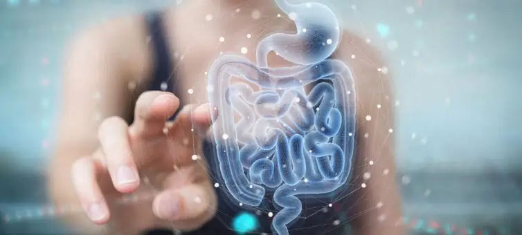 woman touching a screen that shows human intestinal track