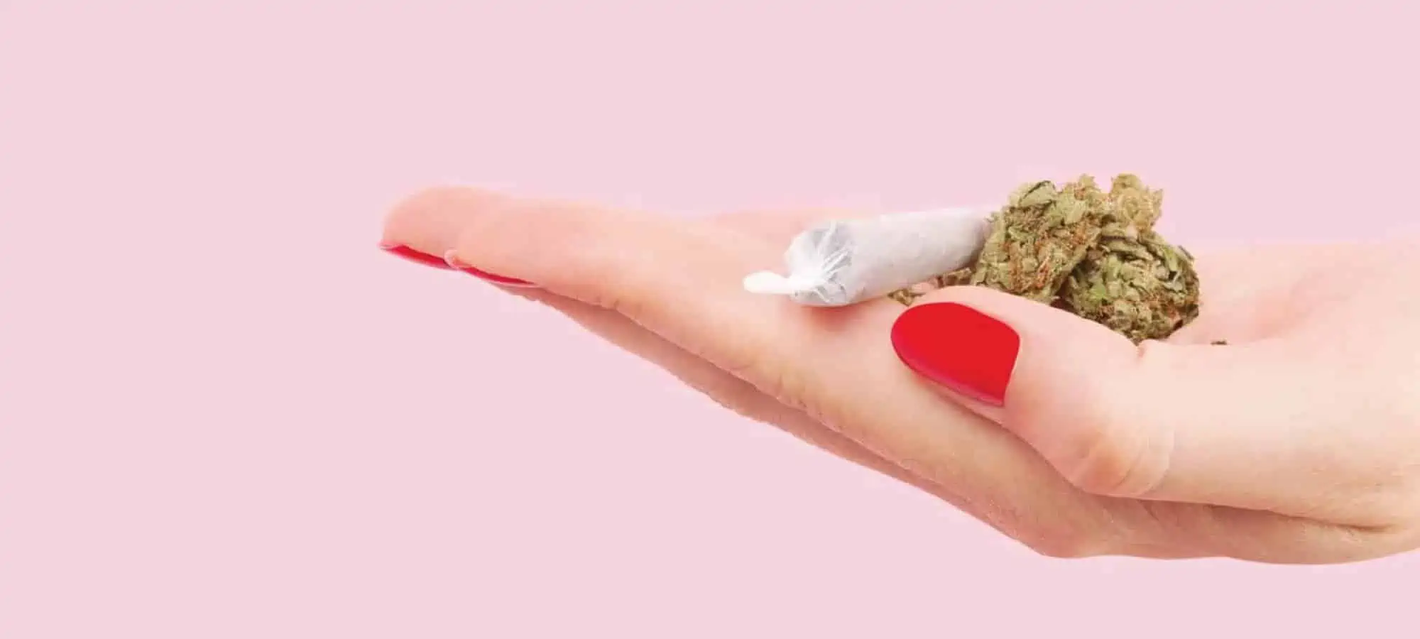 Cannabis roll and leaf in hand