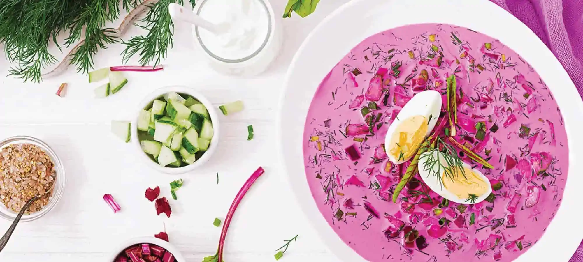 Probiotics vs prebiotics