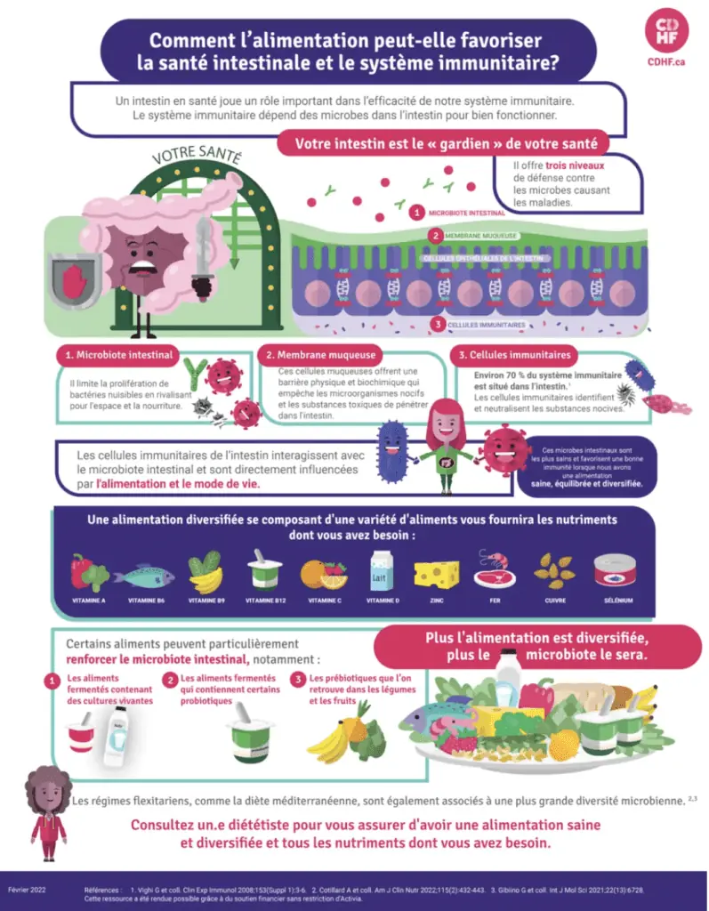 immune system infographic french