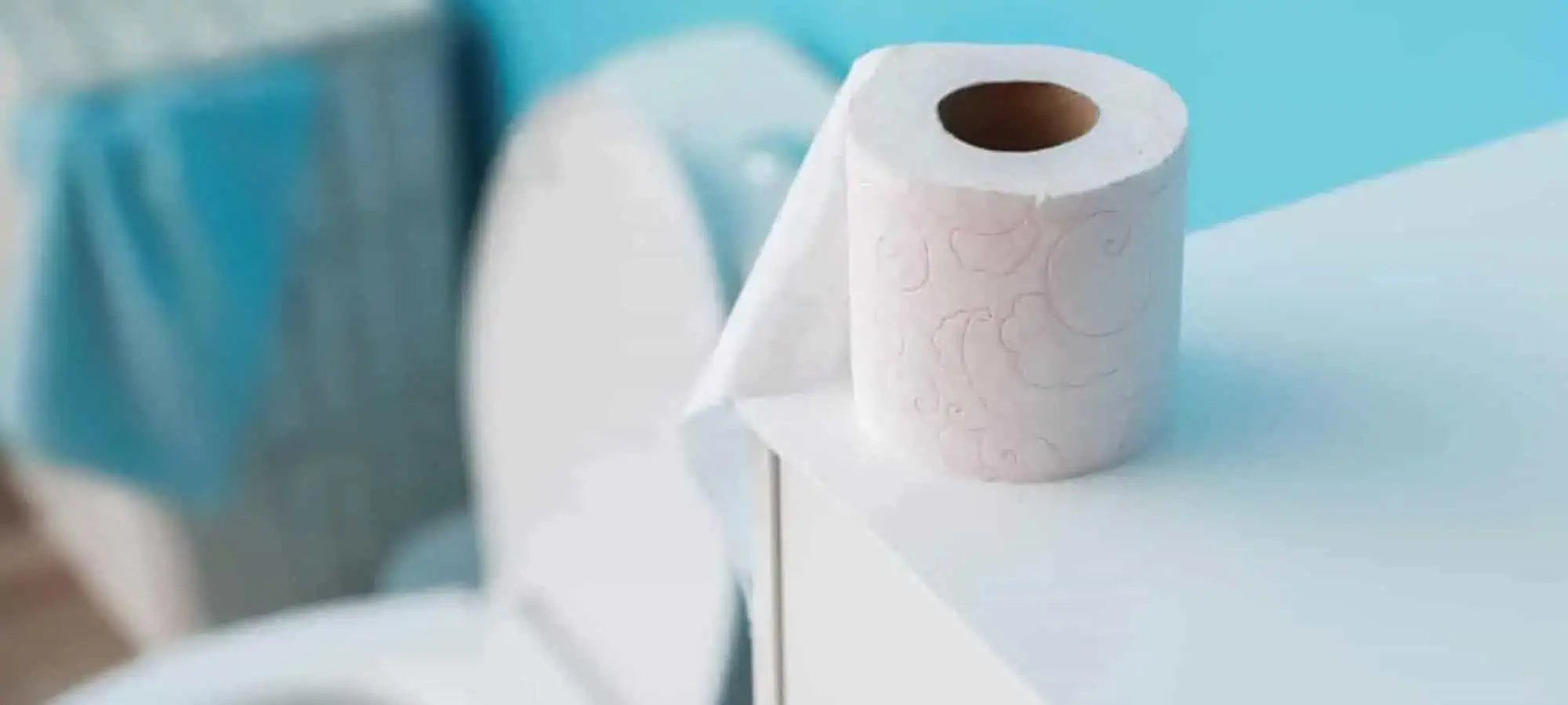 Toilet paper beside the toilet