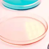 lab dishes