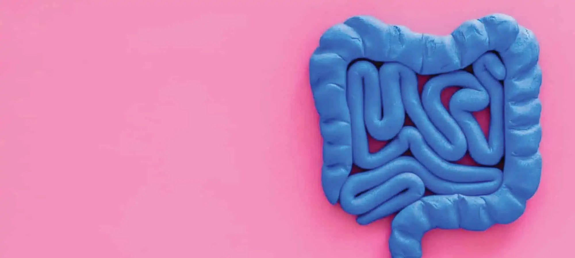 blue intestines