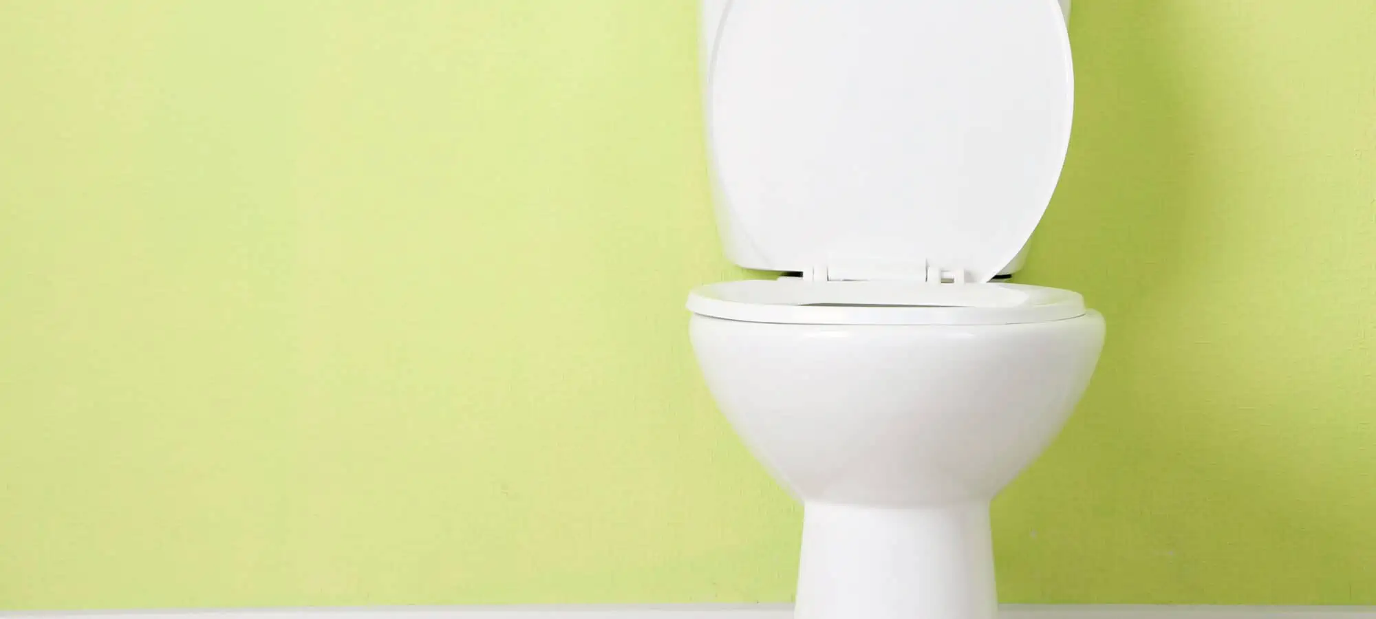 Clean toilet against green background