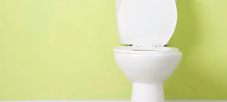 Clean toilet against green background