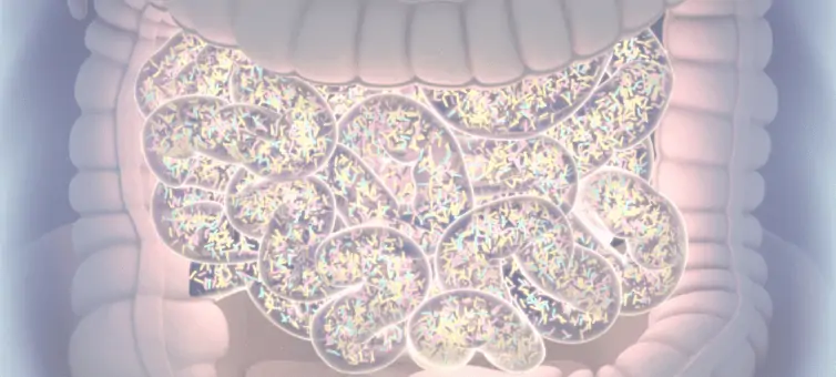 microbiome 101