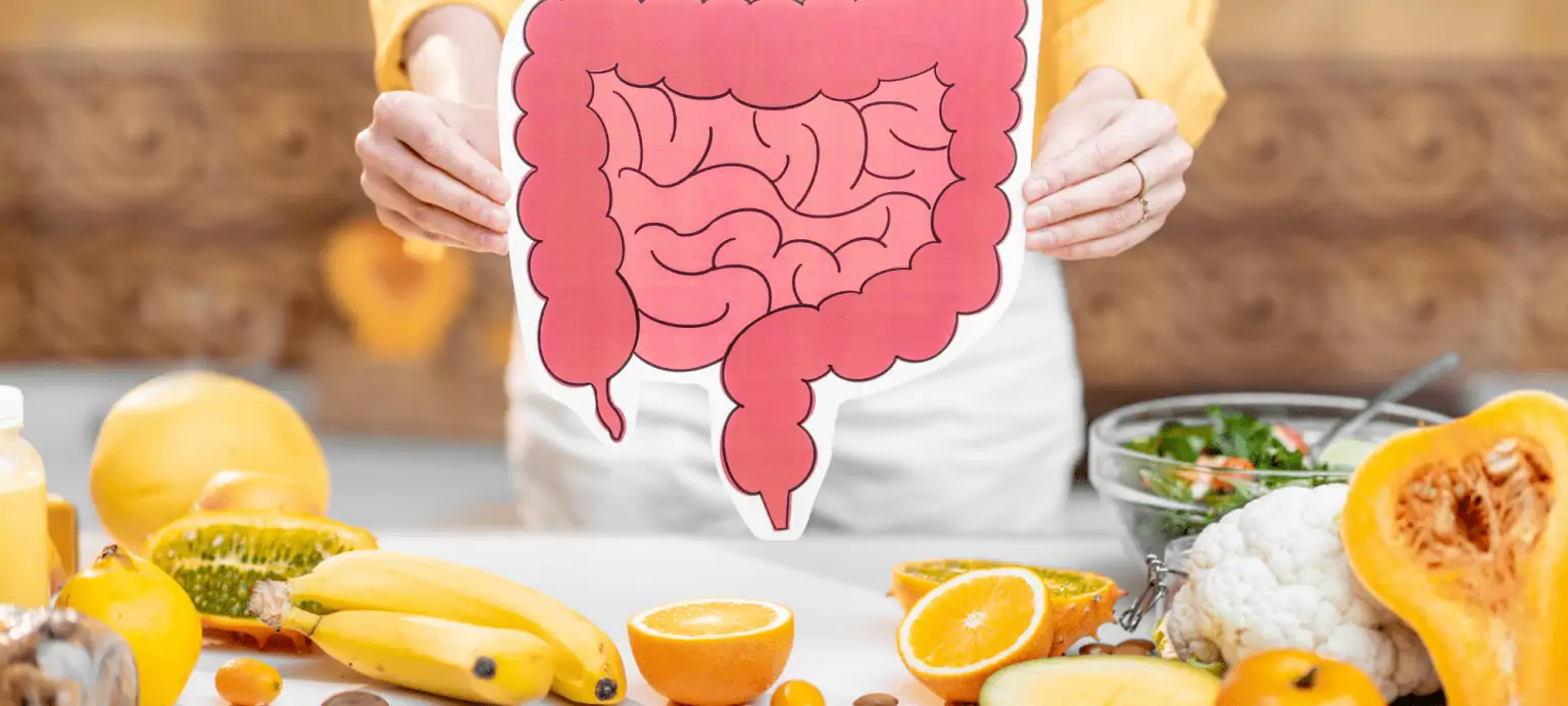 bowel model and fresh fruit