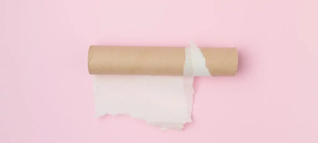 rouleau de papier toilette vide