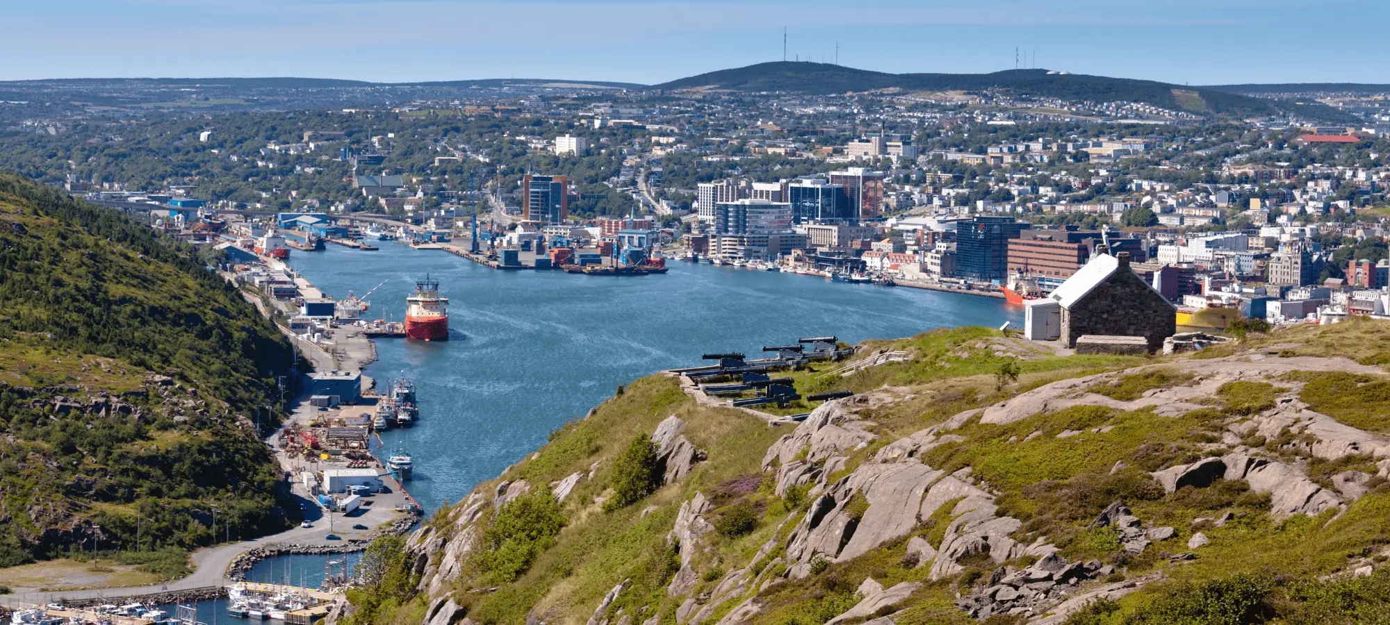 newfoundland