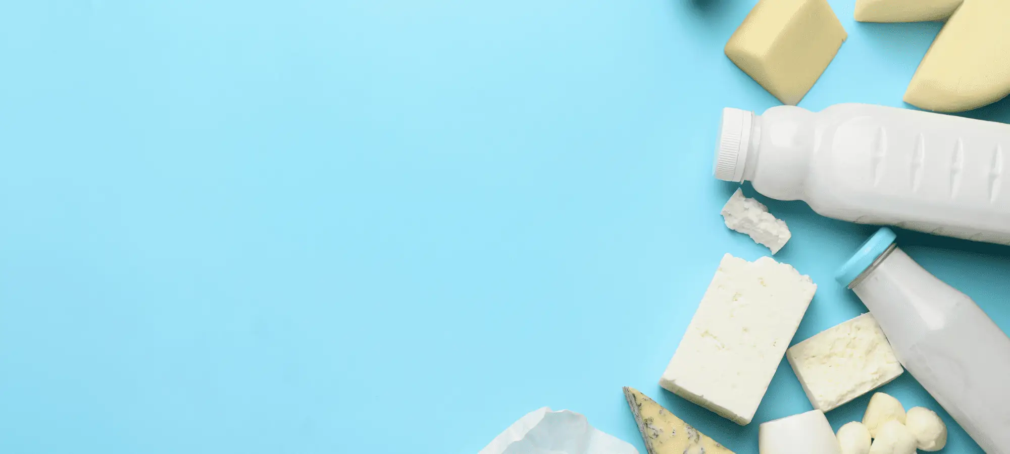 lactose vs dairy free