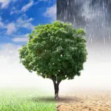 climate change banner