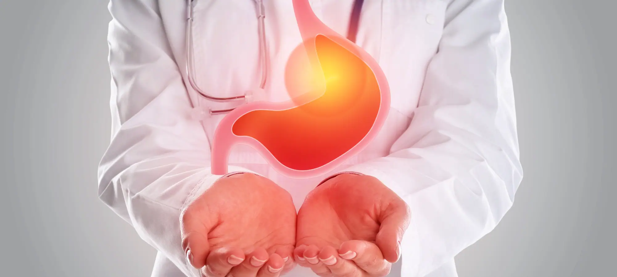 obesity and digestion
doctor holding stomach